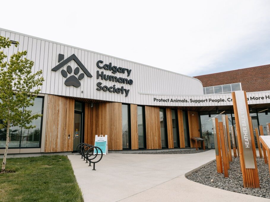 Aspecticor Fundraises for Calgary Human Society Instead of Calgary Humane Society